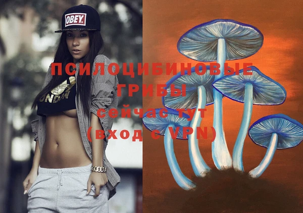 герыч Абдулино