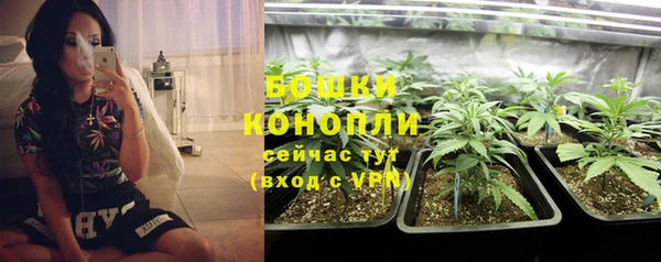 ALPHA PVP Новодвинск